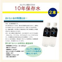 【防災セット】ピースアップ A4サイズ災害備蓄用防災セット基本内容BOX1(5年保存おにぎり) 10008155-1 1セット