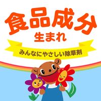 アースガーデン おうちの草コロリ 非農耕地用 除草剤 液体 雑草 除去 草取り 安全 食品成分生まれ 1個 6L アース製薬