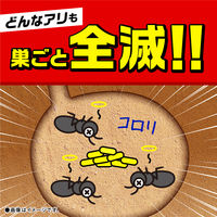 蟻 アリ 駆除 毒餌剤 置き型 スーパーアリの巣コロリ蟻の巣 対策 退治 あり 殺虫剤 家 室内 部屋  1パック（2個入） アース製薬（直送品）
