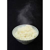 米唐番 5kgタイプ お米・米びつ用防虫剤 1セット（2個） エステー