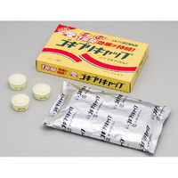 ゴキブリキャップ ゴキブリ専用 殺虫剤 1箱（15個） タニサケ