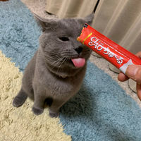 いなば CIAO チャオ ちゅーる 猫 ささみ 国産（14g×4本）6袋 ちゅ～る キャットフード 猫用 おやつ