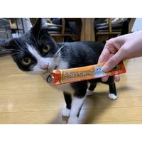 いなば CIAO チャオ ちゅーる 猫 宗田鰹＆かつお節 国産（14g×4本）10袋 ちゅ～る キャットフード 猫用 おやつ