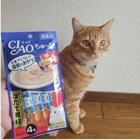いなば CIAO チャオ ちゅーる 猫 まぐろ＆帆立貝柱 国産（14g×4本）6袋 ちゅ～る キャットフード 猫用 おやつ
