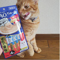 いなば CIAO チャオ ちゅーる 猫 まぐろ＆帆立貝柱 国産（14g×4本）30袋 ちゅ～る キャットフード 猫用 おやつ