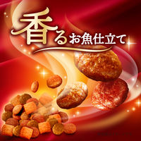 銀のスプーン 三ツ星グルメ お魚レシピ 国産 240g（20g×12袋）14個 キャットフード ドライ