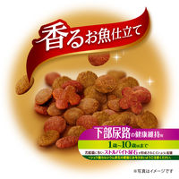 銀のスプーン 三ツ星グルメ 下部尿路の健康維持用 1歳～10歳頃まで お魚レシピ 国産 240g（20g×12袋）キャットフード ドライ