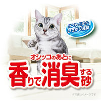 デオサンド オシッコのあとに香りで消臭する砂 ナチュラルグリーン 5L 12袋（4袋×3箱）猫砂