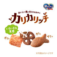 銀のスプーン おいしい顔が見られるおやつ カリカリッチ シーフード＆チキン 国産 60g 3袋 キャットフード 猫用