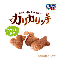 銀のスプーン おいしい顔が見られるおやつ 腎臓の健康維持用 カリカリッチ シーフード 国産 60g 30袋 キャットフード おやつ