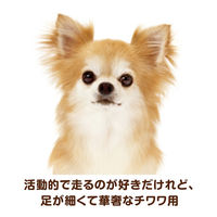 ベストバランス チワワ用 鶏ささみ・緑黄色野菜・キャベツ入り 60g 72袋 ユニ・チャーム