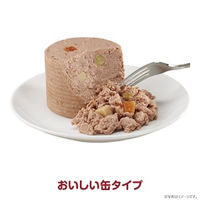 愛犬元気 お肉たっぷり 13歳以上用 ビーフ・緑黄色野菜入り 375g 12缶 ドッグフード ウェット 缶詰