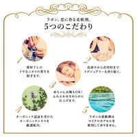 ラボン　LAVONS　柔軟剤　ラグジュアリーリラックス　600ml