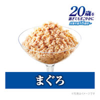 銀のスプーン 20歳を過ぎてもすこやかに まぐろ 60g 16袋 キャットフード ウェット パウチ