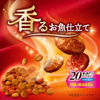 銀のスプーン 三ツ星グルメ 腎臓の健康維持用 20歳を過ぎてもすこやかに お魚レシピ 国産 240g 14個 キャットフード