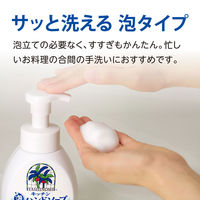 ヤシノミ洗剤 キッチン泡ハンドソープ 本体 250ml 1個 サラヤ