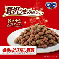 銀のスプーン 贅沢うまみ仕立て 吐き戻し軽減 お魚お肉野菜 国産 1.3kg（小分けパック4袋入）6袋 キャットフード ドライ