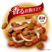 銀のスプーン 三ッ星グルメ 全成長段階用 4種アソート素材入り お魚レシピ 国産 1個 キャットフード ドライ