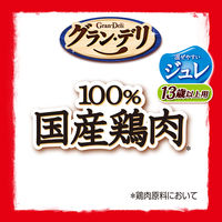 グランデリ ジュレ 13歳以上用 鶏ささみ緑黄色野菜入り 低脂肪 国産 80g 10袋 ドッグフード ウェット パウチ