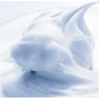 専科 パーフェクトホイップ フォーボディ フレッシュアロマブーケ 詰め替え 350ml ファイントゥデイ