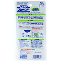 生ゴミ用ゴミサワデー  ゴミ箱用 フレッシュアップルミント 消臭剤　2.7ml　小林製薬