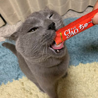 いなば CIAO チャオ ちゅーる 猫 まぐろ＆タラバガニ 国産（14g×4本）30袋 ちゅ～る キャットフード 猫用 おやつ