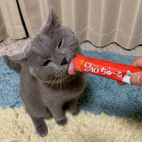 いなば CIAO チャオ ちゅーる 猫 まぐろ＆タラバガニ 国産（14g×4本）10袋 ちゅ～る キャットフード 猫用 おやつ