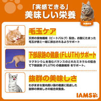 アイムス キャットフード 成猫用 毛玉ケア チキン 1.5kg（375g×小分け4袋）6袋 マース
