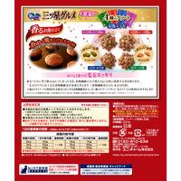 銀のスプーン 三ツ星グルメ 毛玉ケア 4種の味わいアソート 国産 200g（20g×10袋）3個 キャットフード ドライ