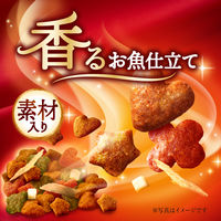 銀のスプーン 三ツ星グルメ 4種のアソート お魚ささみレシピ 国産 200g（20g×10袋）キャットフード ドライ