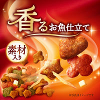 銀のスプーン 三ツ星グルメ 4種のアソート 鶏ささみレシピ 国産 200g（20g×10袋）キャットフード ドライ