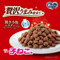 銀のスプーン 贅沢うまみ仕立て 子ねこ用 ミルク入 国産 1.4kg（小分けパック4袋入）3袋 キャットフード ドライ