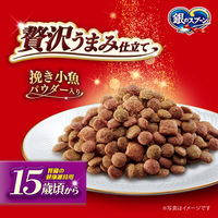 銀のスプーン 贅沢うまみ仕立て 15歳頃から 国産 1.3kg（小分けパック4袋入） キャットフード