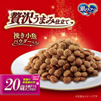 銀のスプーン 贅沢うまみ仕立て 20歳を過ぎてもすこやかに 国産 1.3kg（小分けパック4袋入） キャットフード ドライ