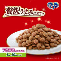 銀のスプーン 贅沢うまみ仕立て 下部尿路の健康維持用 国産 1.3kg（小分けパック4袋入）6袋 キャットフード ドライ