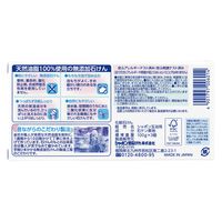 浴用石けん 100g 1セット（3個入×3パック） シャボン玉石けん