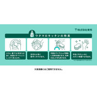 東邦　ウタマロキッチン　本体　052040