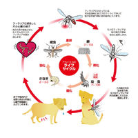 犬猫用 殺虫・虫よけ ボディースプレー 300ml 1個 アース・ペット