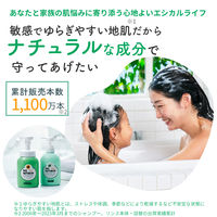 パックスナチュロン　シャンプー詰替Ｎ　500mL　1個　太陽油脂　せっけんシャンプー　無添加　天然由来100%