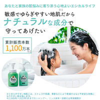 パックスナチュロン　リンス詰替Ｎ　500mL　1個　太陽油脂　せっけんシャンプー専用　トリートメント　無添加　天然由来100%