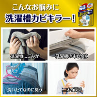 カビキラー 洗濯槽クリーナー 洗濯槽カビキラー 酸素系粉末タイプ 250g 1個 洗濯機 除菌 ジョンソン