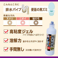 茂木和哉 カビ とり＆パイプ クリーナー 掃除 500g レック (C00400)
