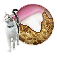 ピュリナ デンタライフ デンタルケア チキン味 51g 3袋 キャットフード おやつ