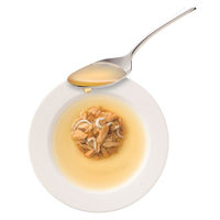 メディファス 猫用 パウチ スープ11歳から しらす・かつお節入り 40g 国産 48袋 ペットライン