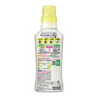 エマール リフレッシュグリーンの香り 本体 460mL 1セット（2個入） 衣料用洗剤 花王