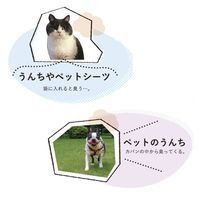 うんちが臭わない袋 BOS ペット用 Mサイズ 90枚 3箱 クリロン化成
