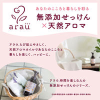 arau.（アラウ） 泡ボディソープ ポンプ 480ml 1個 サラヤ【泡タイプ】