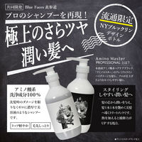 アミノマスター プロフェッショナル シャンプー 500ml デザインボトル ときわ商会