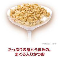 銀のスプーン 三ツ星グルメ 20歳を過ぎてもすこやかに まぐろ入りかつお 35g 32袋 キャットフード ウェット パウチ