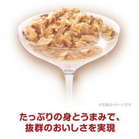 銀のスプーン 三ツ星グルメ フレーク まぐろ入りかつお 35g 16袋 キャットフード ウェット パウチ